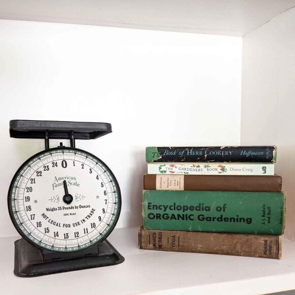 Vintage Rustic Black American Family Scale 25lb Model 1906 general store vintage - Picture 6 of 7